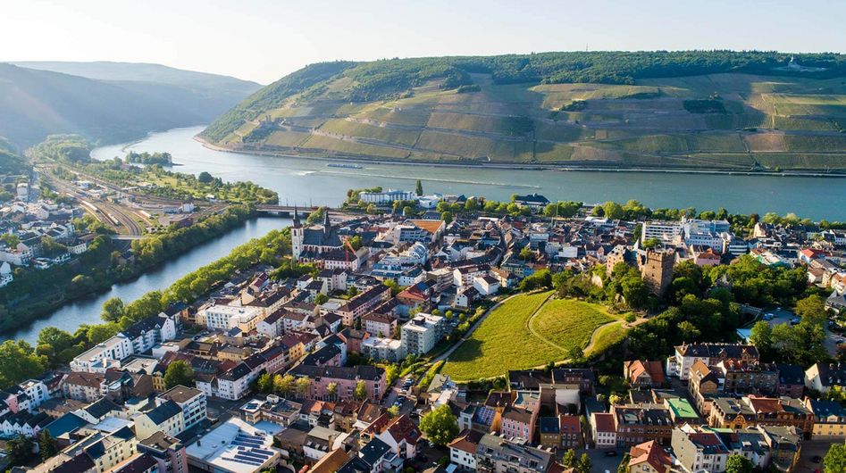 View of Bingen from above, the Rhine and vineyards in the background