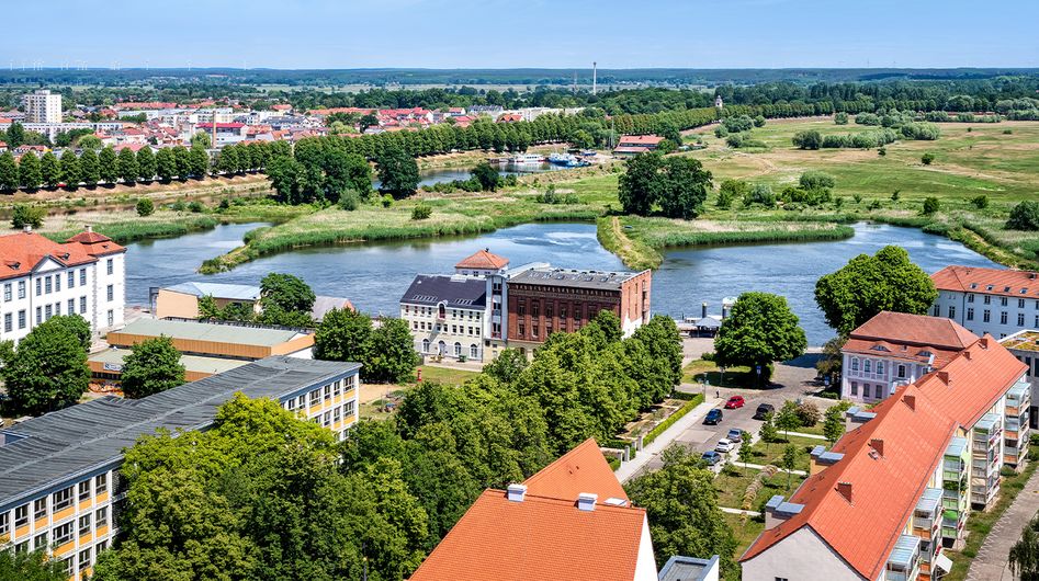 Blick von oben auf grüne Wiesen in Frankfurt an der Oder