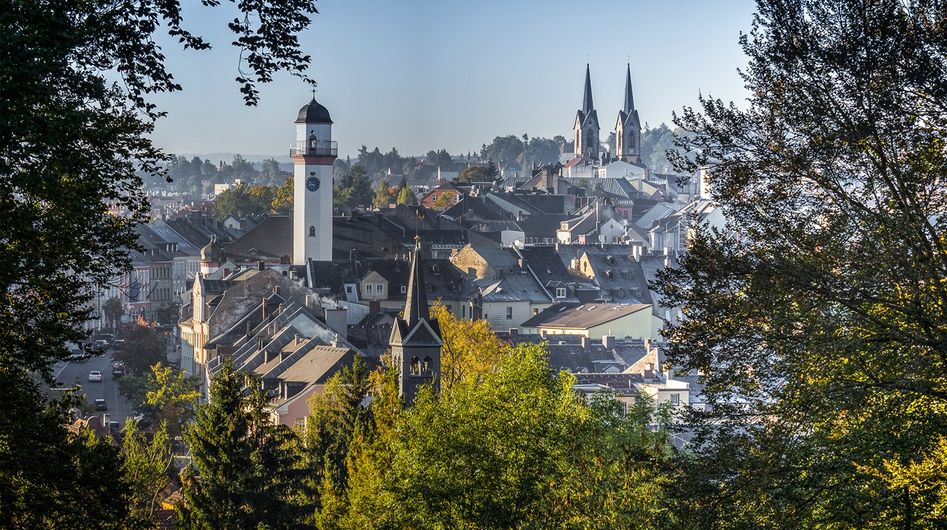 Blick über die Dächer der Stadt Hof im Sonnenschein; grüne Laubbäume im Vordergrund